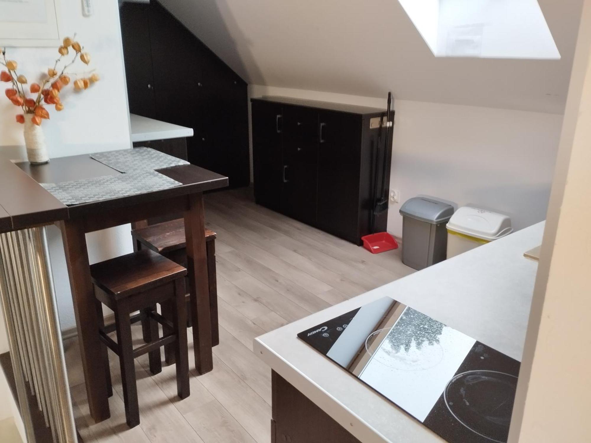 Bieszczadzkie Brzegi Apartman Ustrzyki Dolne Kültér fotó